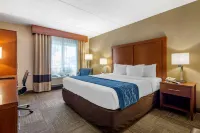 Comfort Inn Edgewater on Hudson River Hotels in Fort Lee