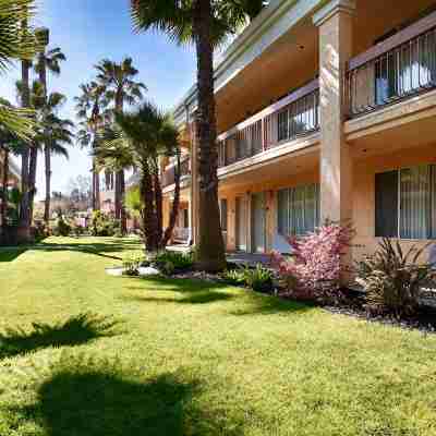 Best Western Palm Court Inn Hotel Exterior