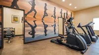 Best Western Plus Executive Residency Elk City - Træningscentre