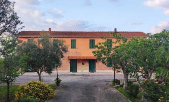 Eco House San Michele