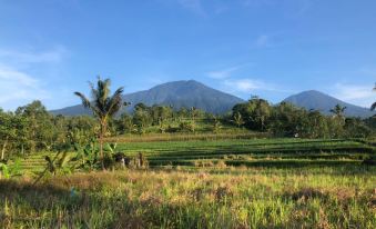 Jatiluwih Eco Lodge