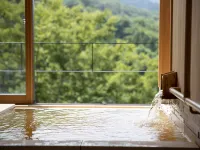 Chigira Jinsentei Hotels in Shibukawa