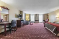 퀄리티 인 안달루시아