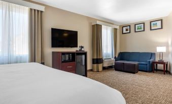 Comfort Inn & Suites, White Settlement-Fort Worth West, TX