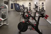 Oakland Marriott City Center - Gym