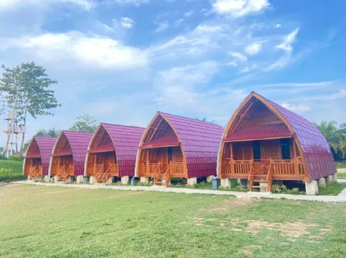 Alinia Park and Resort Hotel di Kabupaten Dharmasraya