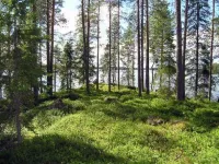 Puolukka Các khách sạn ở Pielavesi