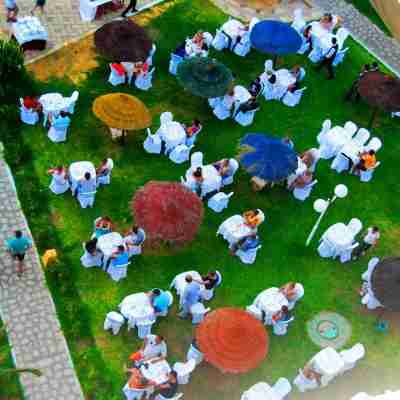 Delphin Habib Others