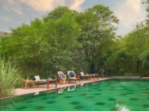 Trees N Tigers Luxury Wildlife Lodge