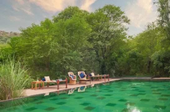 Trees N Tigers Luxury Wildlife Lodge فنادق في 