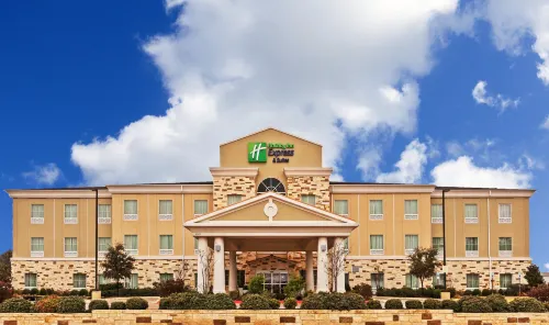 Holiday Inn Express & Suites Brady by IHG - Wifi
