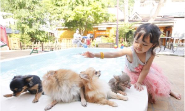 Kinugawa Kokusai Hotel