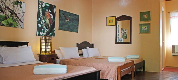Darayonan Lodge Hotels in Coron