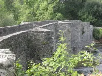 CAE y Rhedyn Annexe - WiFi