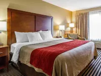 Comfort Inn Owatonna Near Medical Center Hotels in Faribault