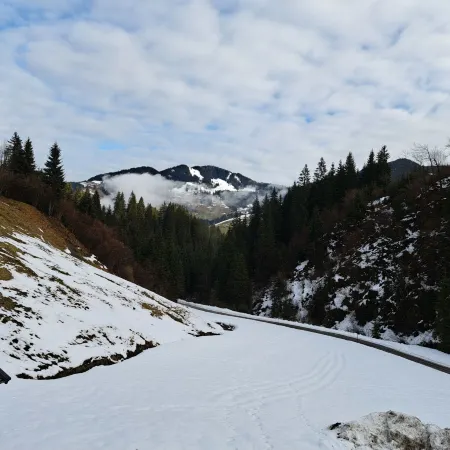 Waldruhe