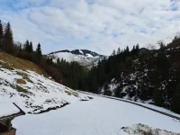 Wiesenduft