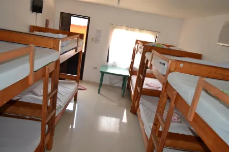 NiteLife Transient House