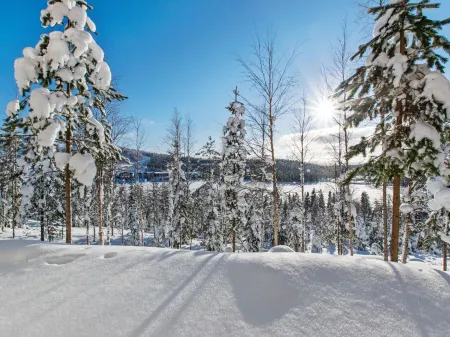 Alppikylä 13b Paritalo Отели в г. Kehys-Kainuu