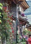Riverside Flora