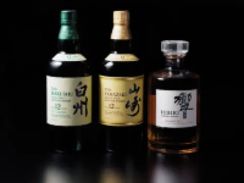 Hakuba Tokyu Hotel Hotels in Hakuba