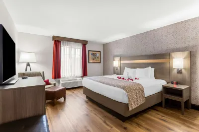 Best Western Moriarty Heritage Inn Отели рядом с достопримечательностью «McCall's Pumpkin Patch»