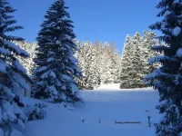 La Schmetta 11 Hotels in Lenzerheide