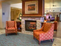 Hampton Inn & Suites Altus Hotels in Altus