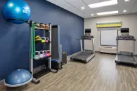 Hampton Inn & Suites Lady Lake/The Villages - Kuntosalit
