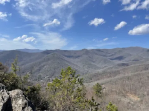 Private + Wooded + Quaint & Cozy + 5 Mins to Dwntn Blk Mtn + 15 Mins to Ashvle