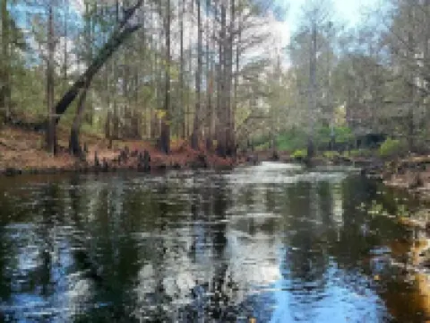 River Daze Cabin - A cozy cabin right on the river