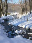 Caspian Cottage - Secluded log cabin on 150 acres