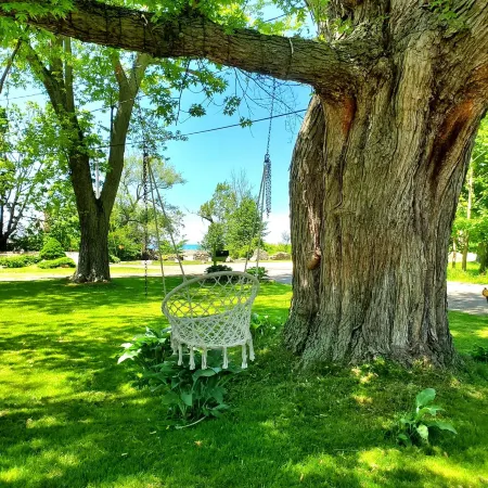 Steps from the beach,  Lakeview with Hot Tub