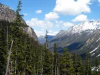 Alpine Woods cabin close to trails, ski in/out