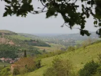 Nespoli: House / Villa -Hillside house in the middle of nature Hotel a Civitella di Romagna