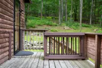 3BR Cabin Getaway: Hike & Swim Nearby! Modern, dog-friendly, wi-fi + king suite