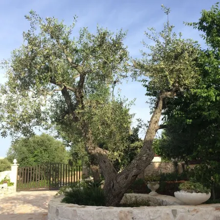 Villa Valentina - Authentic Stone House in the heart of Puglia