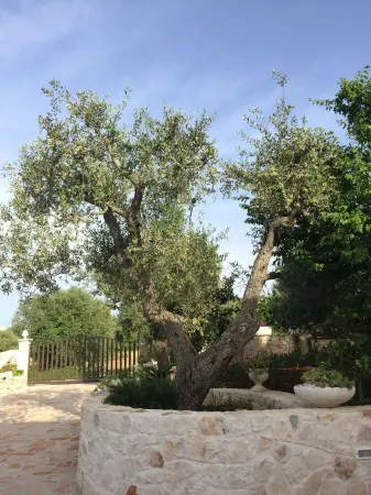 Villa Valentina - Authentic Stone House in the heart of Puglia