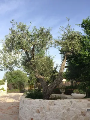 Villa Valentina - Authentic Stone House in the heart of Puglia