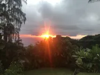 Holualoa Garden Studio-Spring and Summer Specials!!!