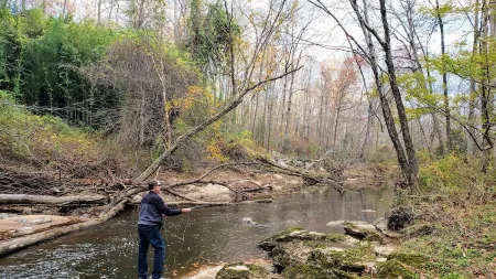 Urban Oasis I Large 2bd/1ba I Surrounded by Nature I 30 mins to DC