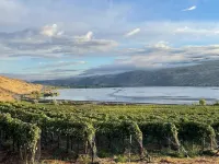 Charming Guest Cabin Nestled on Stunning 30-acre Vineyard near Lake Chelan