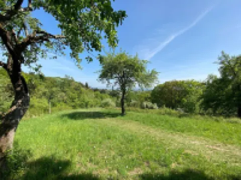 Quiet, natural 34sqm apartment in half-timbered house, Kassel-Harleshausen 2 PEOPLE