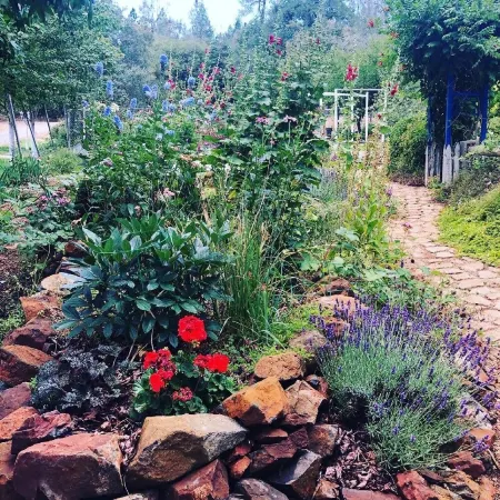 Hummingbird House - Scenic Peaceful Foothills Getaway only minutes from downtown