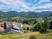 House on the mountain with wellness area, bar and panorama Hotels in Buhlertal