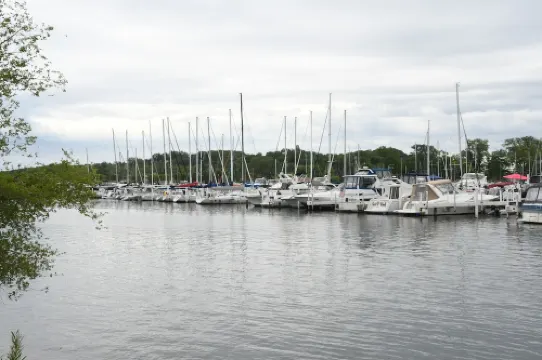 Holiday House! Fully Renovated House, Minutes to EVERYTHING, Pet Friendly!