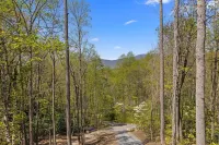 Bearside Retreat - Brand new, pet friendly, & 3 private acres minutes from town!