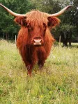 Gite a la Ferme