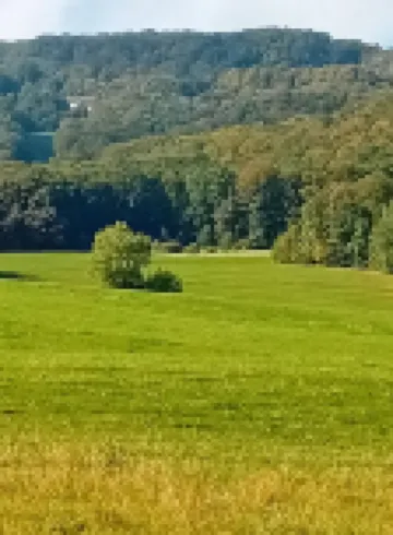 Ferienhaus Hesse 韋拉-邁斯訥縣酒店