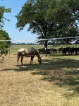 Cow Creek Farmhouse w/Kitchenette spacious quit countryside